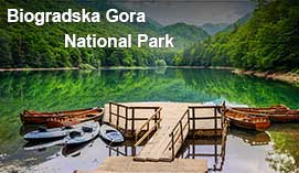 Biogradska Gora Park in Montenegro