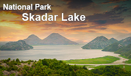 Skadar Lake National Park Montenegro