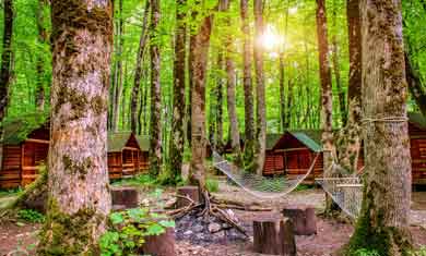 Biogradska Gora National Park Accommodation Katuns Lodging Huts