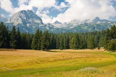 Durmitor National Park Mountains